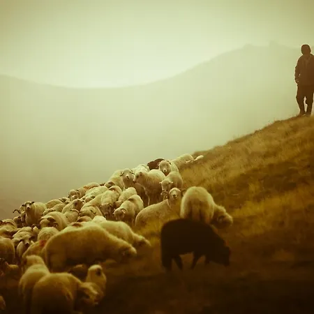 U Hazy - Regionalne Zakopane Θέρετρο 3*